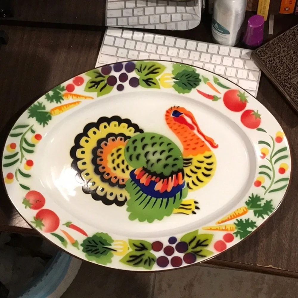 Turkey Enamelware Platter HUGE Oval Platter Bright Colors Texture HONG KONG